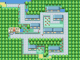 Village Pokémon